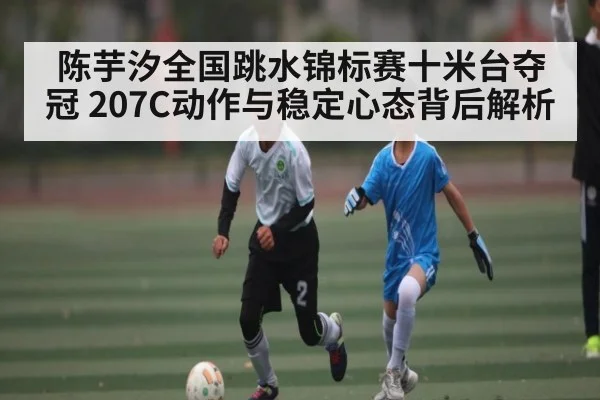 陈芋汐全国跳水锦标赛十米台夺冠 207C动作与稳定心态背后解析