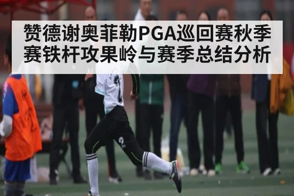 赞德谢奥菲勒PGA巡回赛秋季赛铁杆攻果岭与赛季总结分析